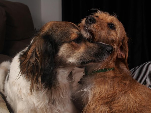 Experience blissful naturist camping in gironde's nature