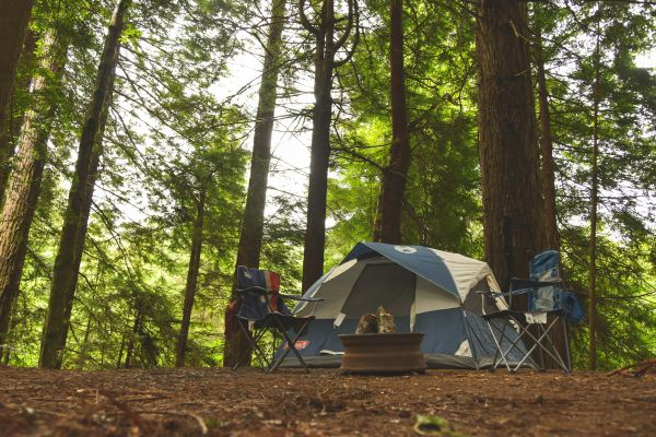 Top-rated outdoor stays on Oléron island campsites